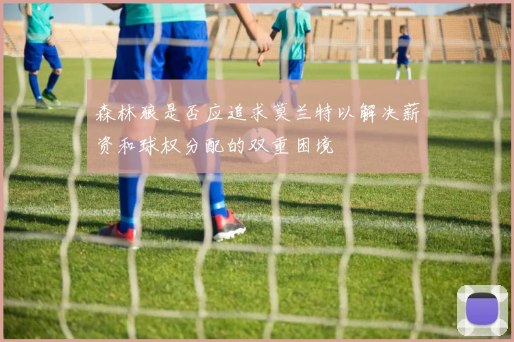 森林狼是否应追求莫兰特以解决薪资和球权分配的双重困境