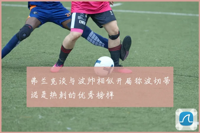 弗兰克谈与波帅相似开局称波切蒂诺是热刺的优秀榜样